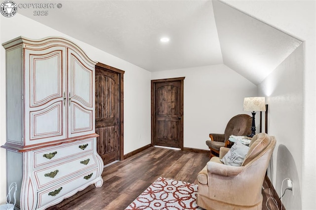 3491 County Road 215th Rd, Westcliffe, CO 81252 - living area featuring dark wood-style floors and vaulted ceiling