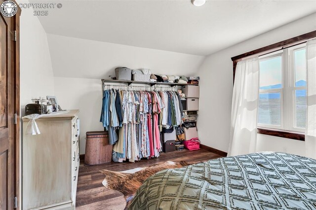 3491 County Road 215th Rd, Westcliffe, CO 81252 - bedroom featuring lofted ceiling, wood finished floors, and a closet
