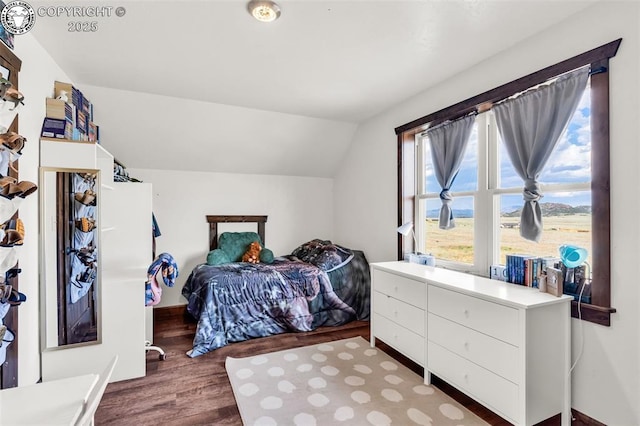 3491 County Road 215th Rd, Westcliffe, CO 81252 - bedroom featuring wood finished floors and lofted ceiling