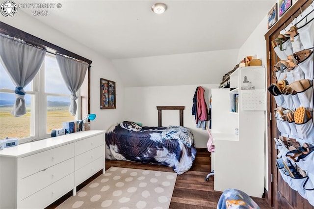 3491 County Road 215th Rd, Westcliffe, CO 81252 - bedroom with multiple windows, lofted ceiling, and wood finished floors