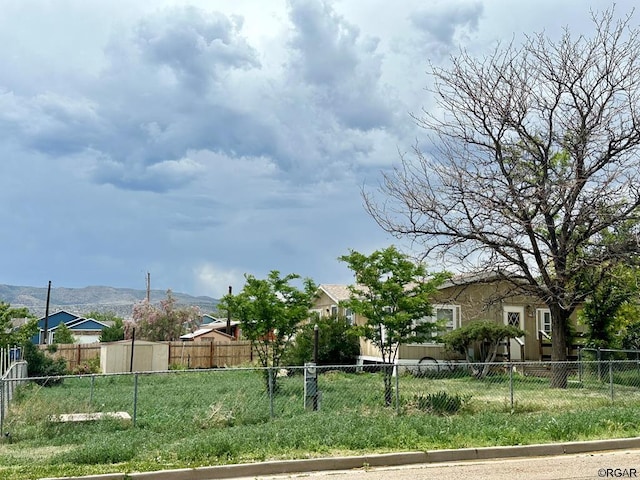 view of yard featuring a mountain view