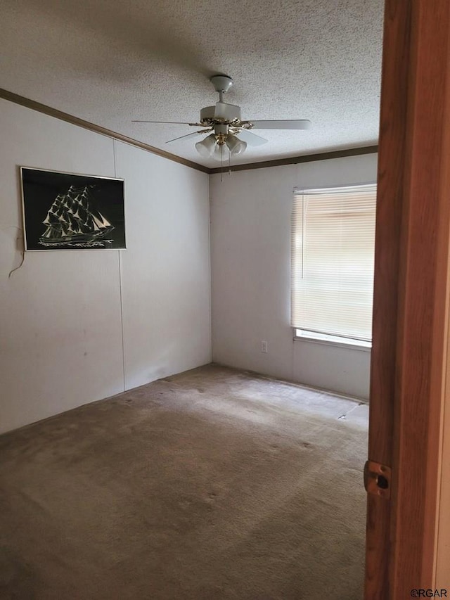 empty room featuring ceiling fan, carpet floors, crown molding, and a textured ceiling