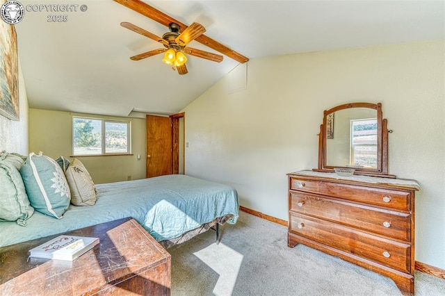 321 County Road 353a, Canon City, CO 81212 - bedroom with carpet flooring and ceiling fan
