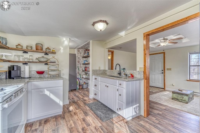 321 County Road 353a, Canon City, CO 81212 - kitchen with open shelves, electric range, light wood-type flooring, and white cabinetry