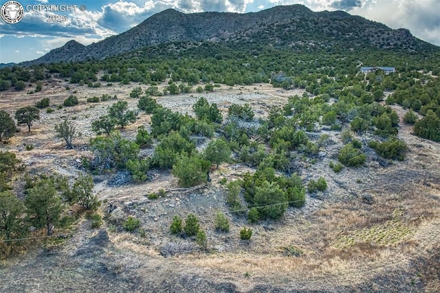 321 County Road 353a, Canon City, CO 81212 - view of mountain background