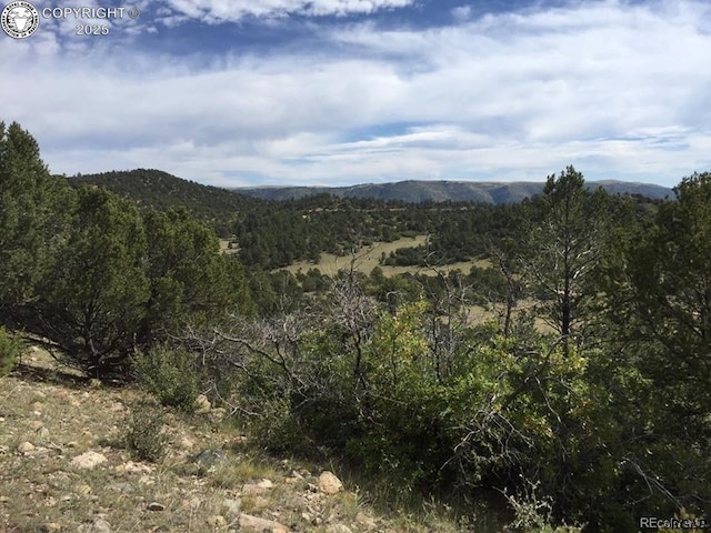 2192 Vista View Rd, Canon City, CO 81212
