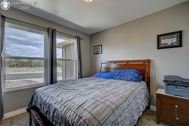 bedroom with baseboards and carpet