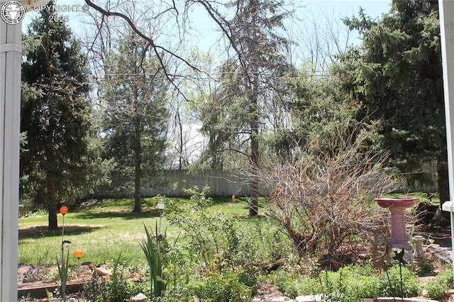 822 Capitol Hill St, Canon City, CO 81212 - photo 9
