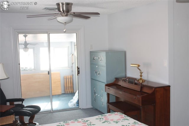 822 Capitol Hill St, Canon City, CO 81212 - photo 35