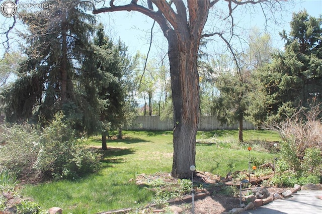 822 Capitol Hill St, Canon City, CO 81212 - photo 6