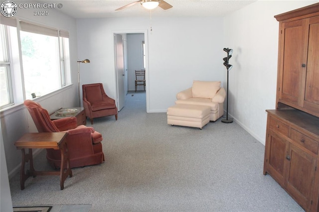 822 Capitol Hill St, Canon City, CO 81212 - photo 20