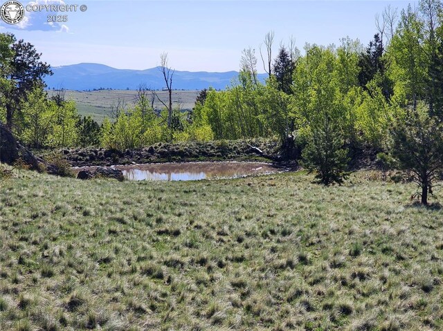 4780 County Road 352a, Canon City, CO 81212 - photo 1