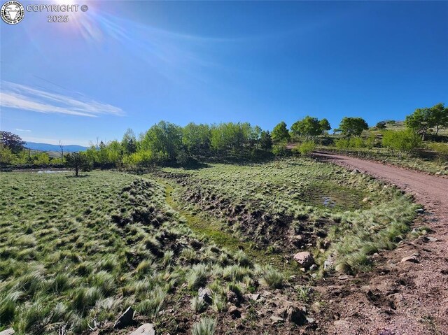 4780 County Road 352a, Canon City, CO 81212 - photo 3