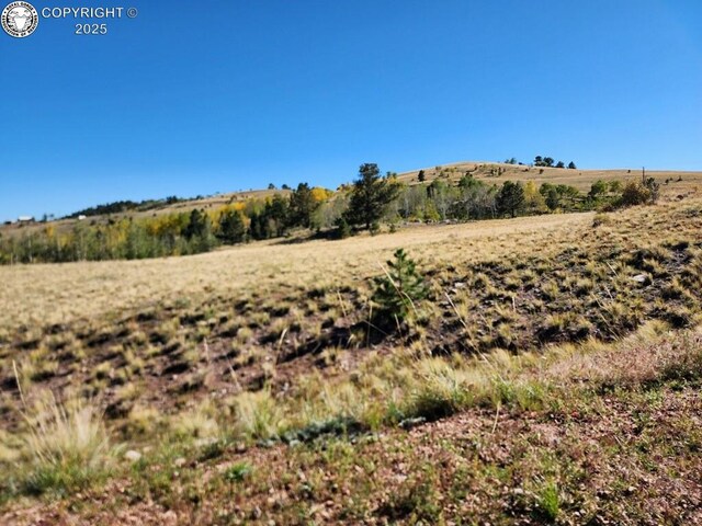 4780 County Road 352a, Canon City, CO 81212 - photo 11