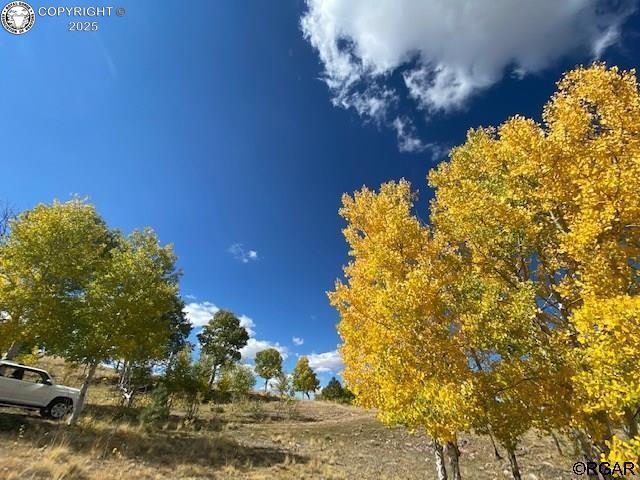 4780 County Road 352a, Canon City, CO 81212 - photo 7