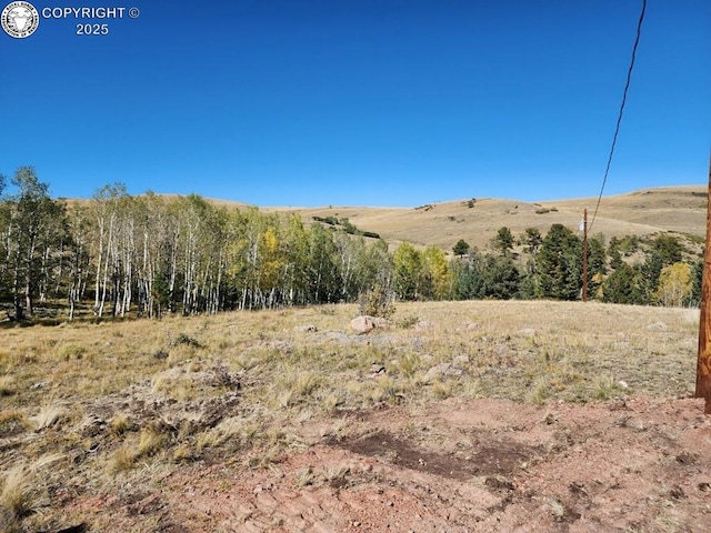 4780 County Road 352a, Canon City, CO 81212 - photo 12
