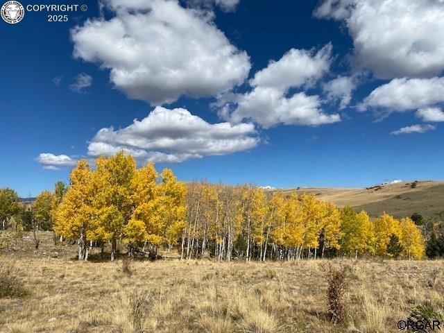 4780 County Road 352a, Canon City, CO 81212 - photo 6