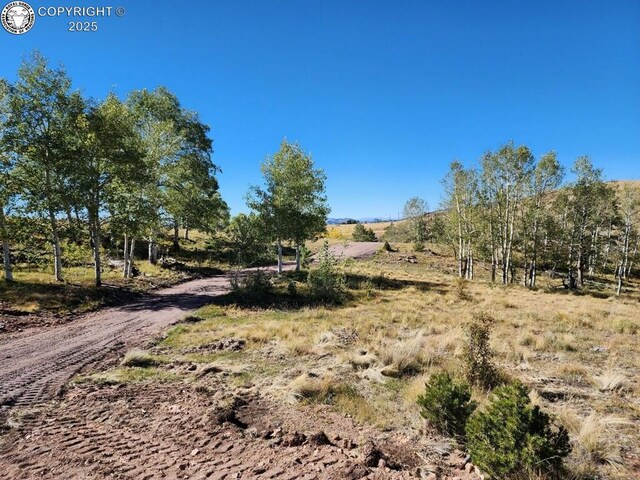 4780 County Road 352a, Canon City, CO 81212 - photo 10