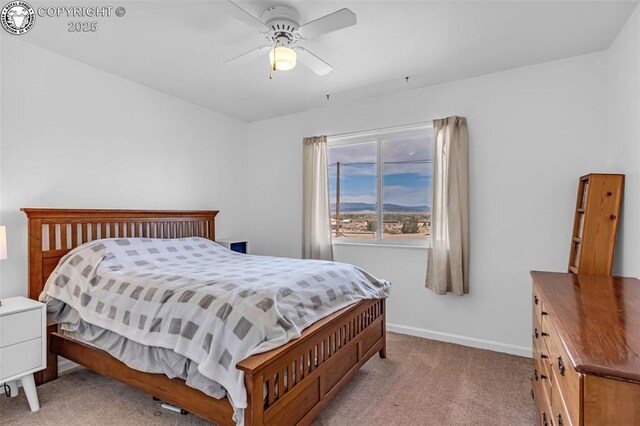 1825 Davis St, Canon City, CO 81212 - photo 22