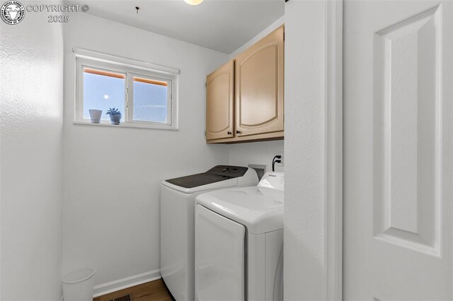 1825 Davis St, Canon City, CO 81212 - photo 19