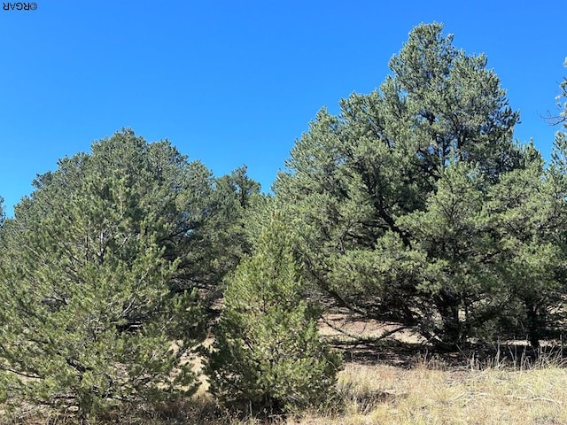 Listing photo 3 for 384 Macdonnell Loop, Texas Creek CO 81223