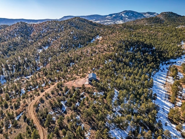 birds eye view of property featuring a mountain view