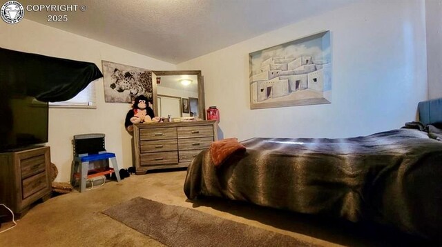 915 E River St, Pueblo, CO 81001 - photo 8