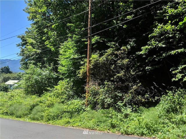 0XX S Dillard Ave, Concrete, WA 98237