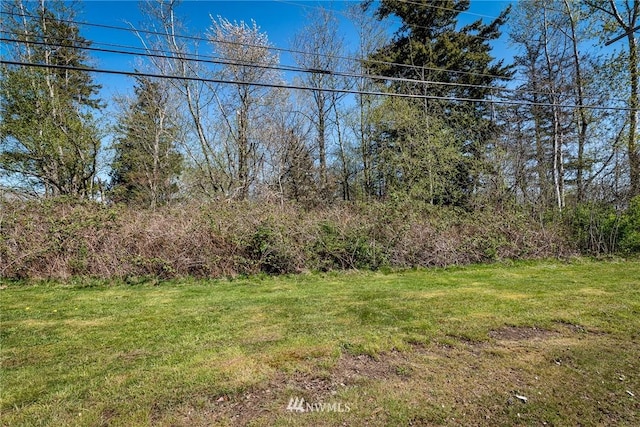 4434 Pacific Hwy, Bellingham, WA 98226 - photo 2