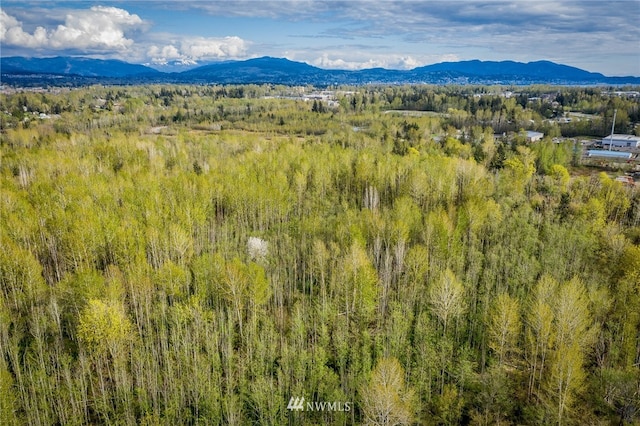 44XX Pacific Hwy, Bellingham, WA 98226 - photo 2
