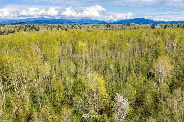 44XX Pacific Hwy, Bellingham, WA 98226 - photo 5