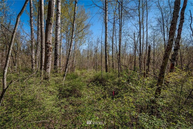 44XX Pacific Hwy, Bellingham, WA 98226 - photo 6