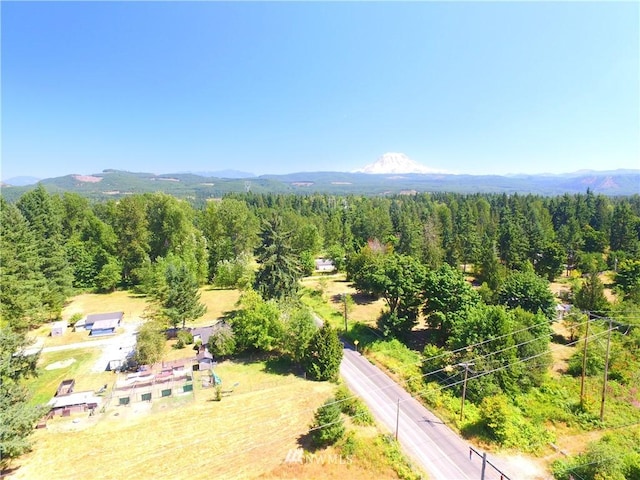 0 240th St E, Graham, WA 98338