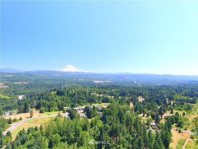 0 240th St E, Graham, WA 98338