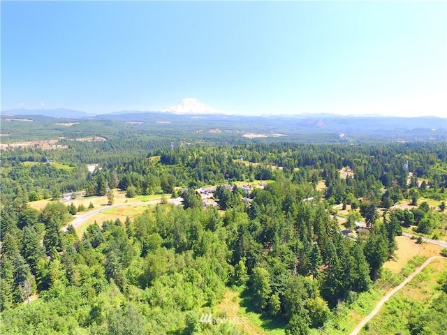 0 240th St E, Graham, WA 98338