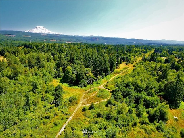 0 240th St E, Graham, WA 98338
