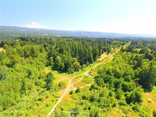 0 240th St E, Graham, WA 98338