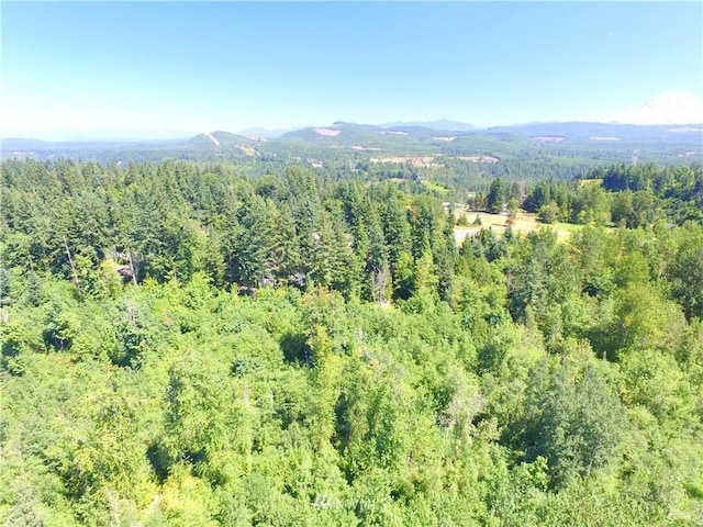 0 240th St E, Graham, WA 98338