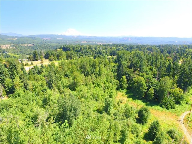 0 240th St E, Graham, WA 98338