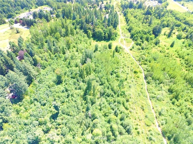 0 240th St E, Graham, WA 98338