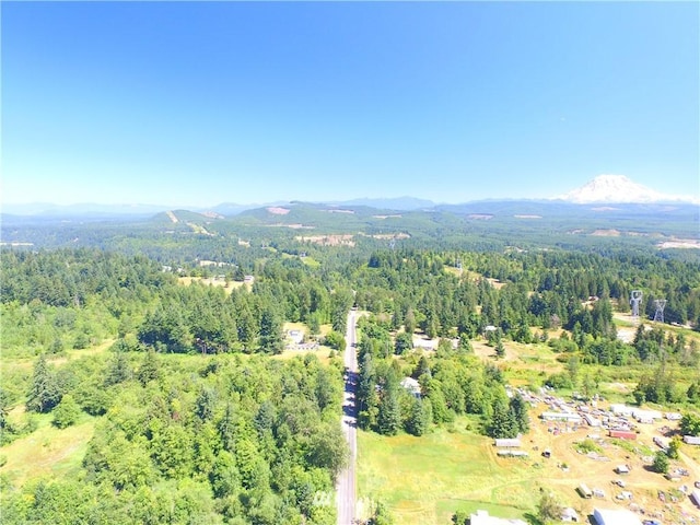 0 240th St E, Graham, WA 98338