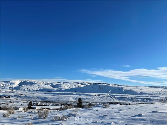 3LOT Parks Dr, Okanogan WA, 98840 land for sale