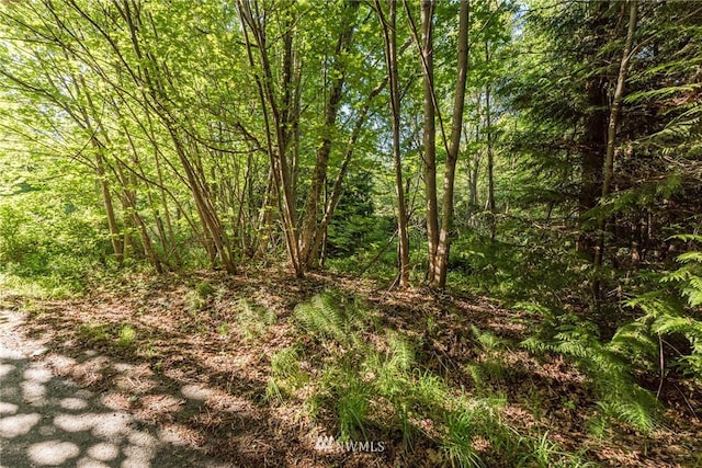 Listing photo 3 for 9999 Elk Pass Rd Lot 8, Sequim WA 98382