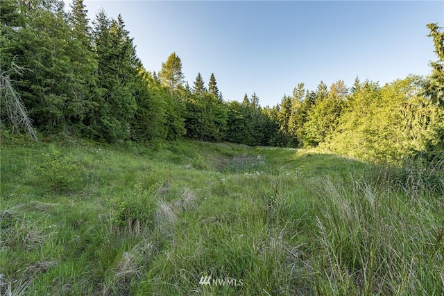 Listing photo 2 for 9999 Elk Pass Rd Lot 8, Sequim WA 98382