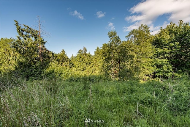 9999 Elk Pass Rd Lot 8, Sequim WA, 98382 land for sale