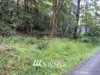 1948 Island Dr NW, Olympia WA, 98502 land for sale