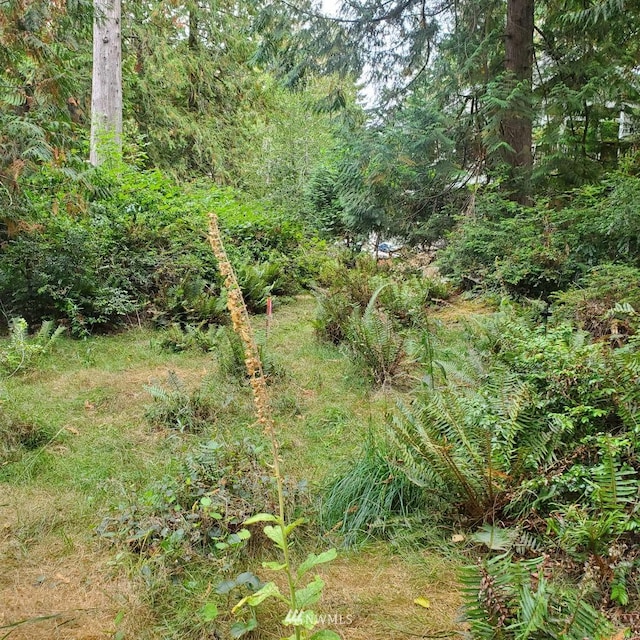 655 E Portage Rd, Shelton WA, 98584 land for sale