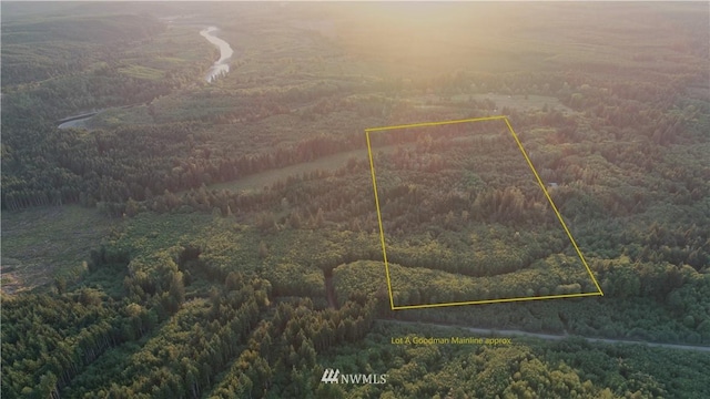 9999 Goodman Mainline, Forks WA, 98331 land for sale