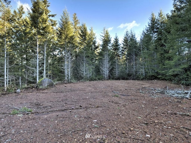 Listing photo 3 for 26201 NE N Shore Rd, Tahuya WA 98588