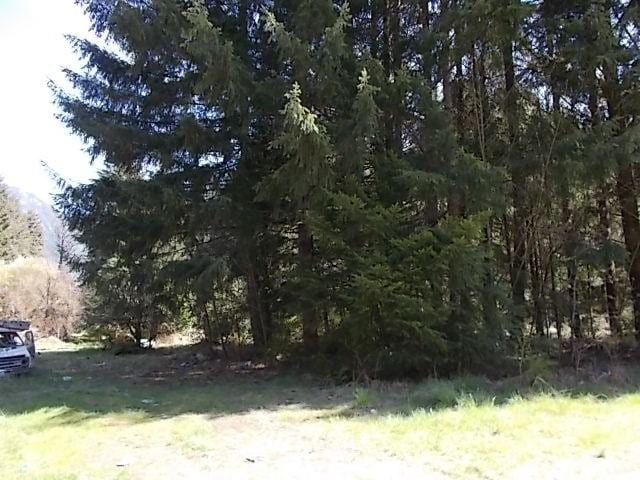 Listing photo 2 for 0 Morris Rd, Randle WA 98377